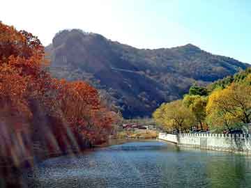 在遭遇抛售之后 英伟达周五盘前领涨美股科技七巨头